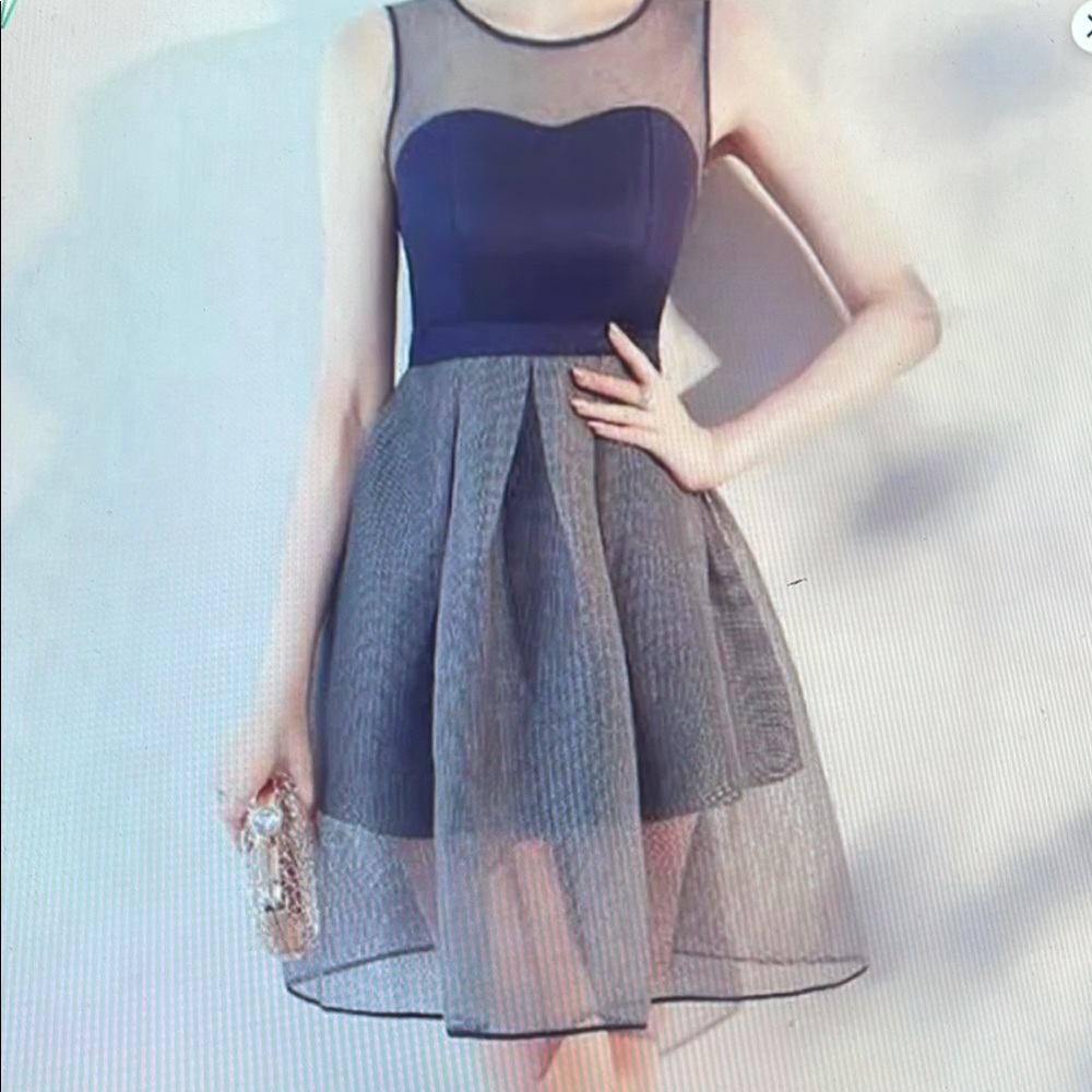 Elegant Navy and Gray Mesh Dress